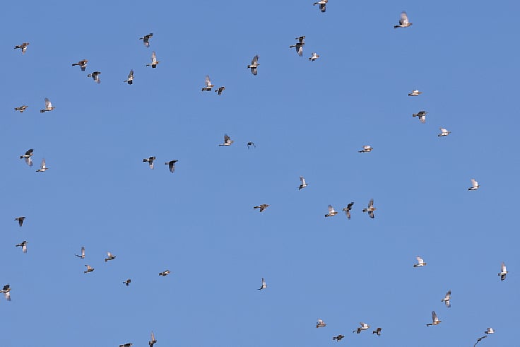 ছবি: লেখক