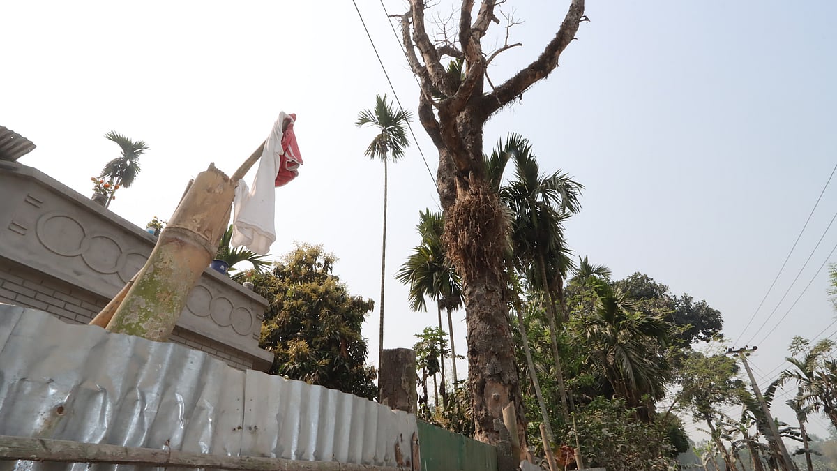 ছবি: মঈনুল ইসলাম