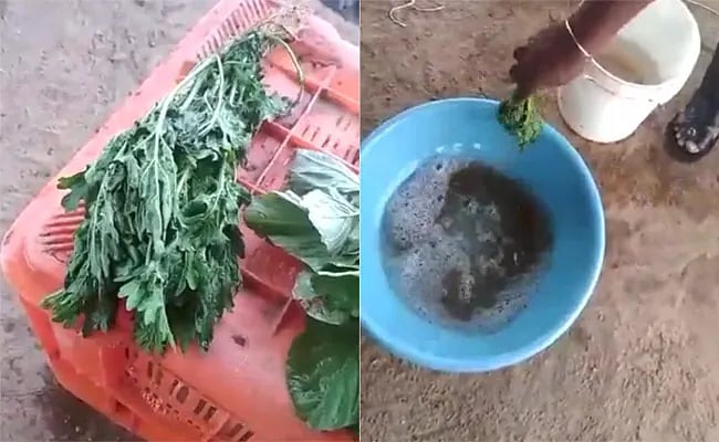 ছবি: টুইটার থেকে নেওয়া