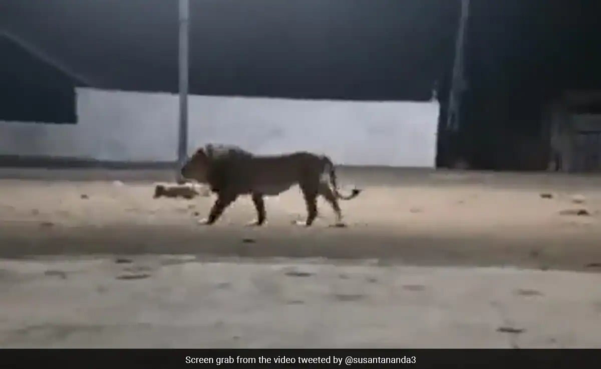 ছবি: টুইটার থেকে নেওয়া