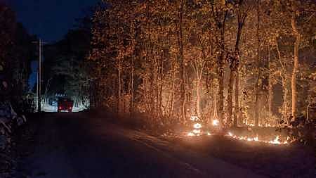 ছবি: প্রথম আলো