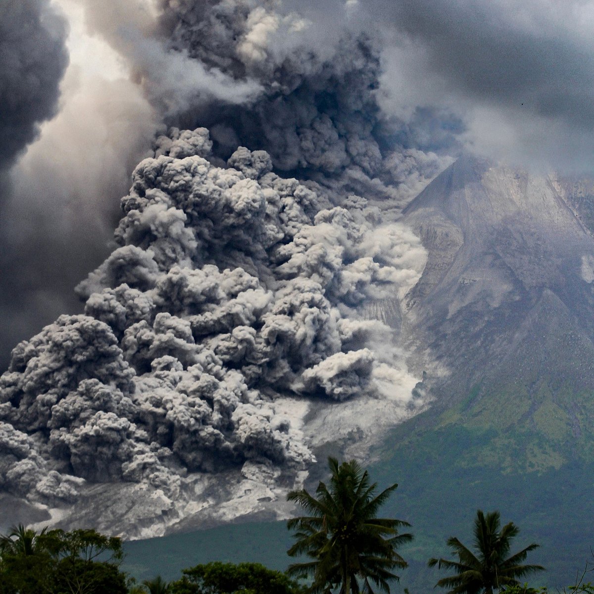 ছবি: এএফপি