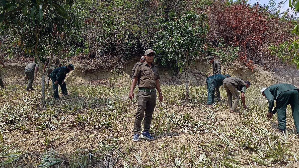 ছবি: প্রথম আলো