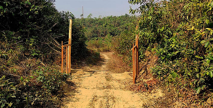 ছবি: প্রথম আলো