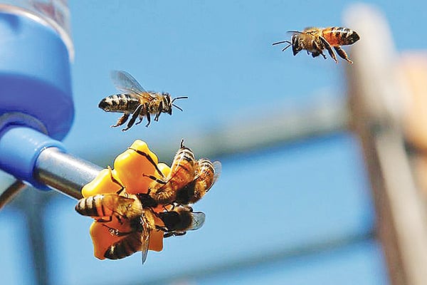 ফাইল ছবি: রয়টার্স