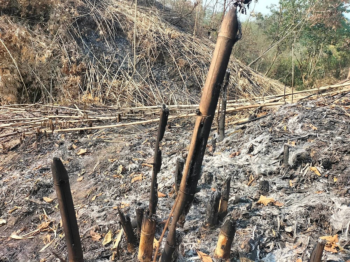 ছবি: প্রথম আলো