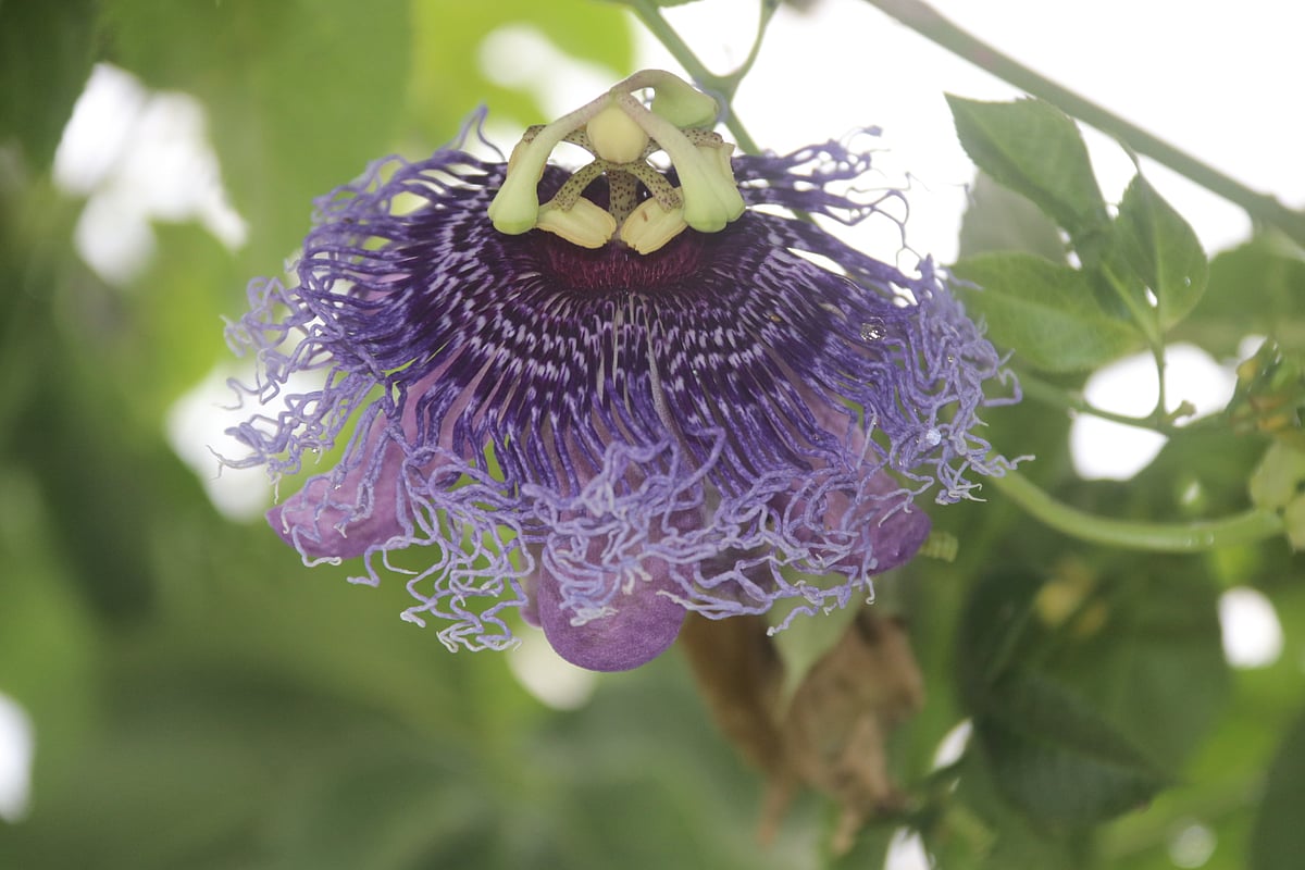 ছবি: এম সাদেক