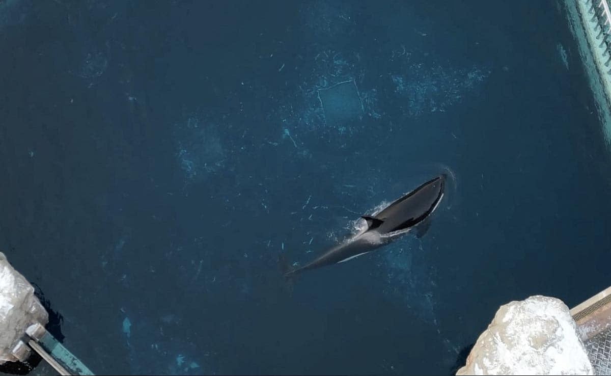  ছবি: টুইটার