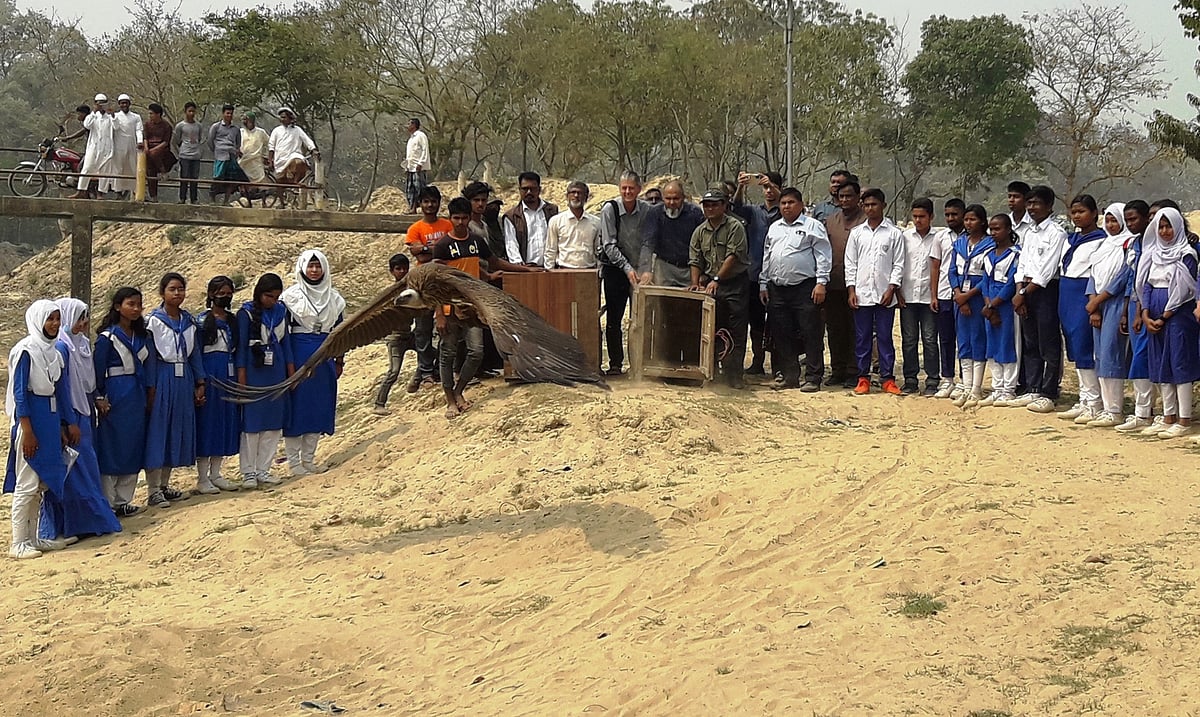 ছবি: প্রথম আলো