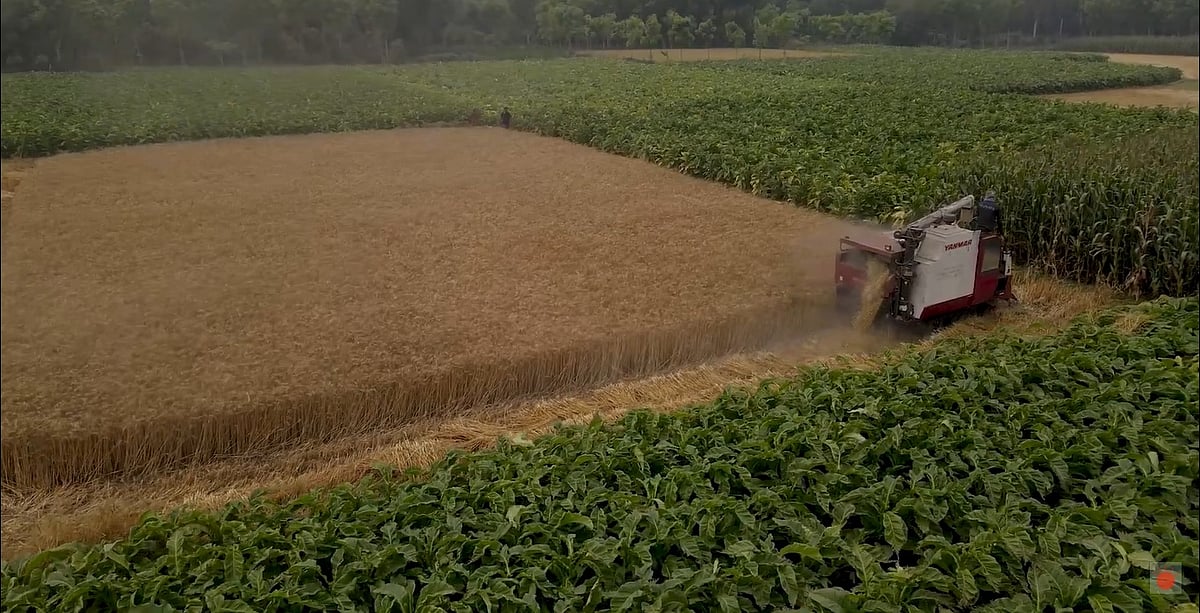 ছবি: বিজ্ঞপ্তি