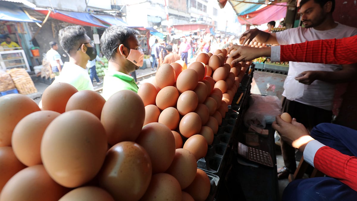 প্রথম আলো ফাইল ছবি