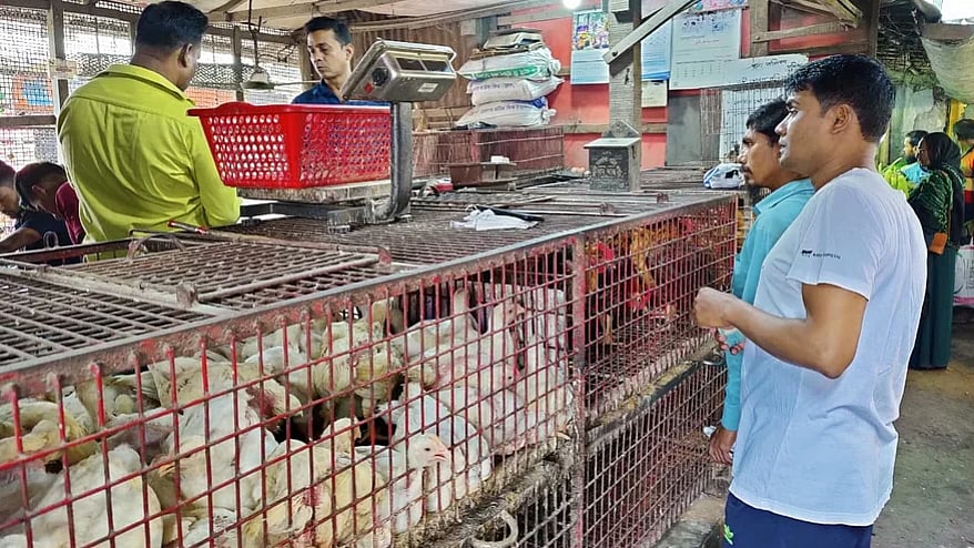 ফাইল ছবি