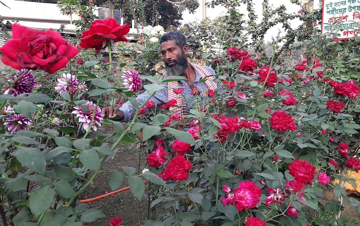 ছবি: প্রথম আলো  