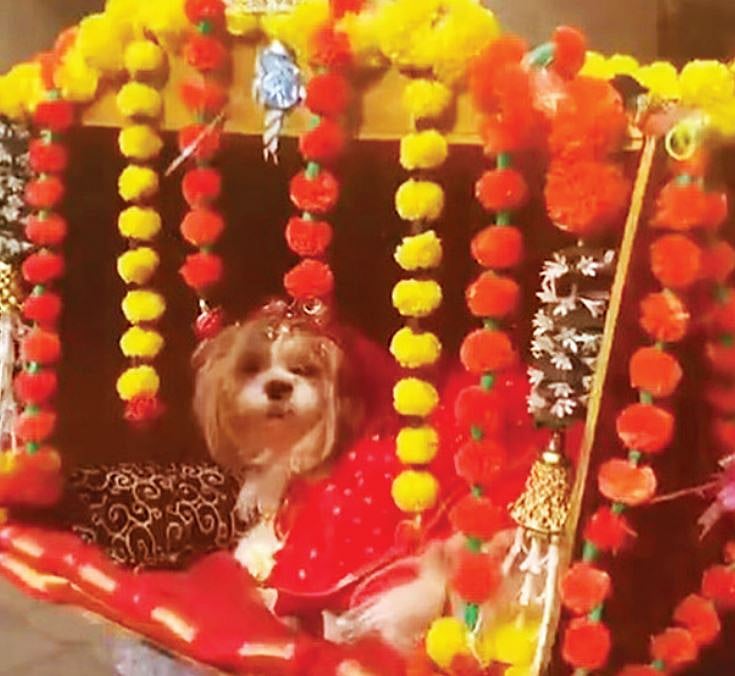 ছবি: ভিডিও থেকে নেওয়া