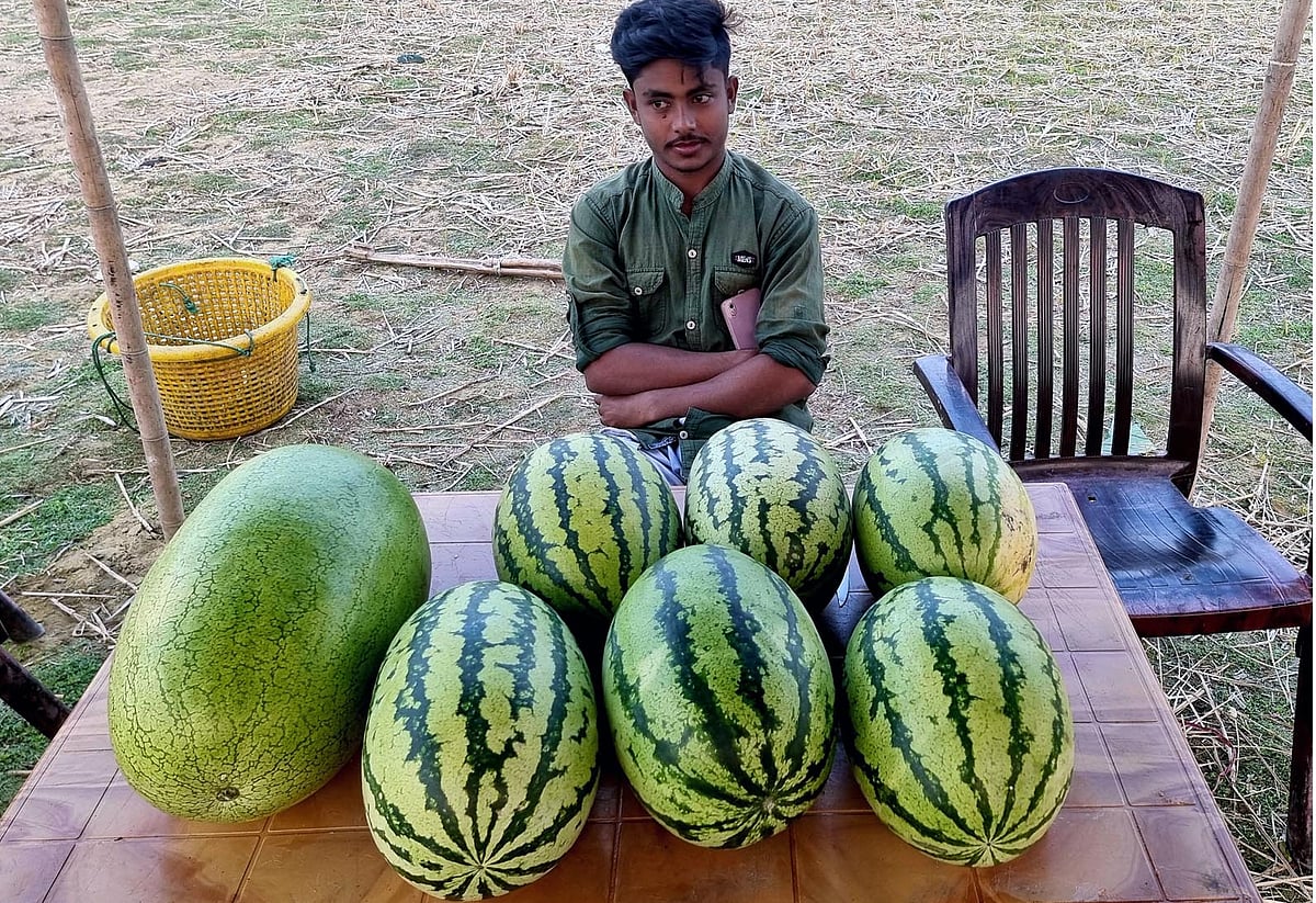  ছবি- প্রথম আলো