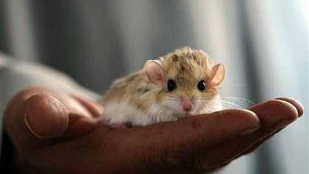 রয়টার্সের প্রতীকী ছবি