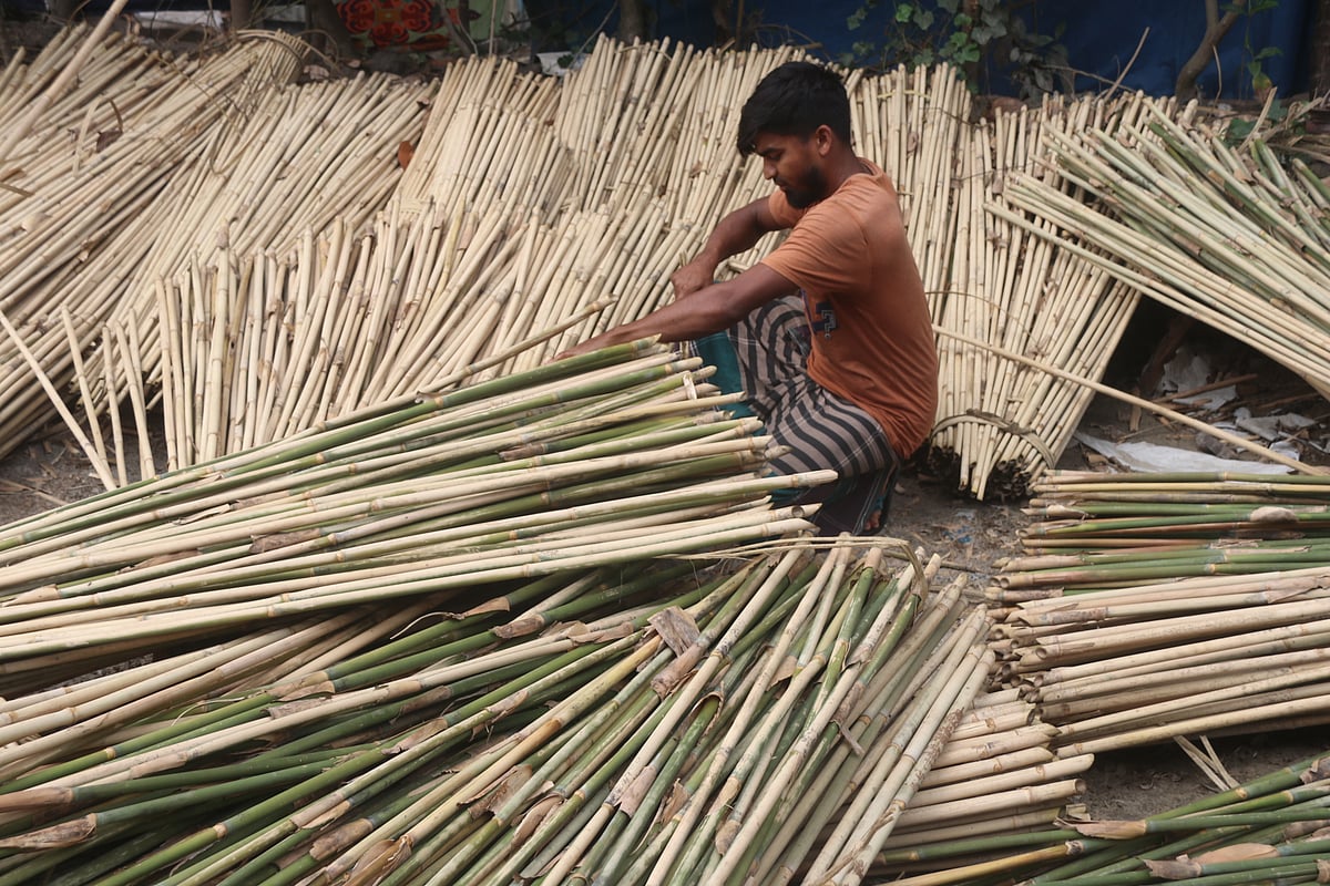 বাঁশি তৈরির জন্য বাঁশ বাছাই করছেন এক ব্যক্তি।