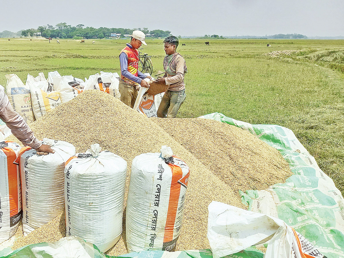  ছবি: প্রথম আলো