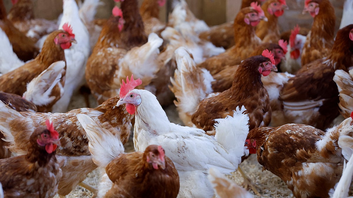 প্রতীকী ছবি: রয়টার্স