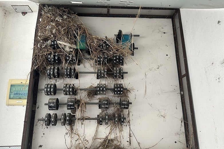 ছবি: প্রথম আলো 