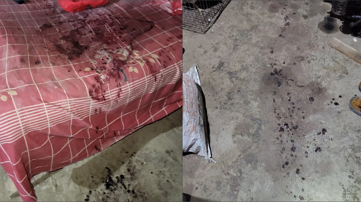 ছবি: প্রথম আলো