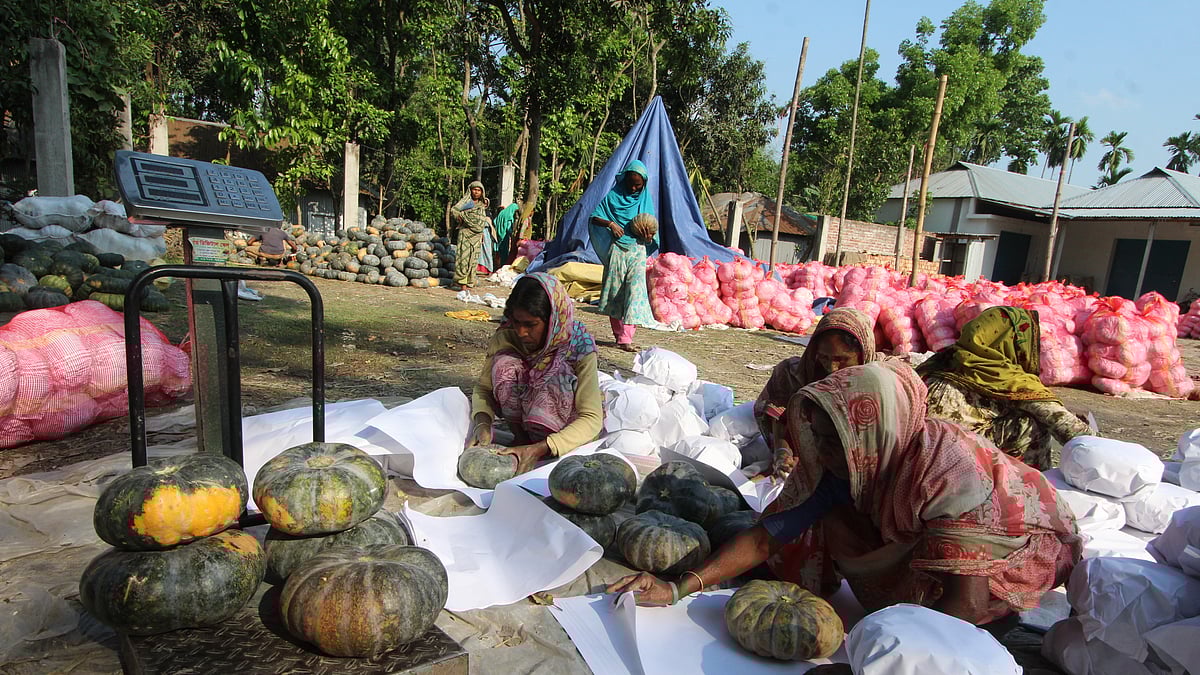 ছবি: মঈনুল ইসলাম