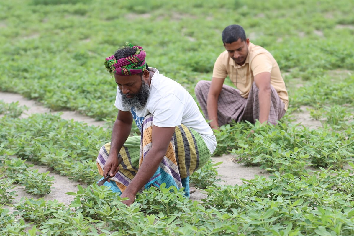  ছবি: আলীমুজ্জামান 