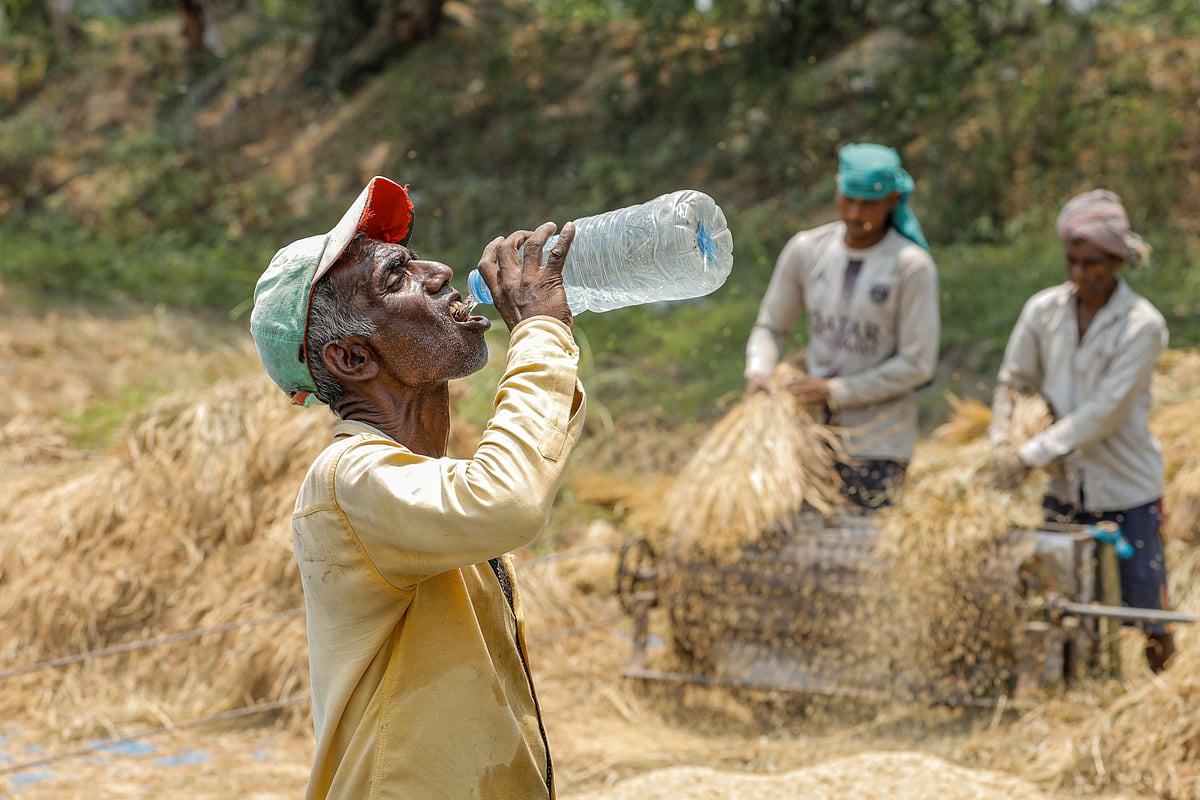 ছবি: সাদ্দাম হোসেন