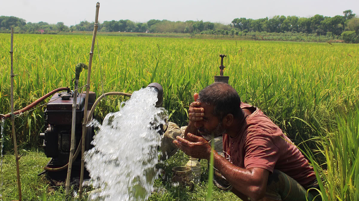 ফাইল ছবি: প্রথম আলো