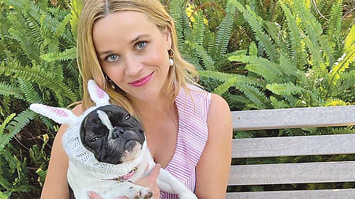 ফেসবুক থেকে নেওয়া