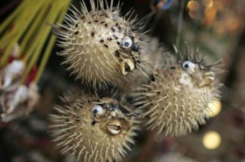 ছবি: রয়টার্স