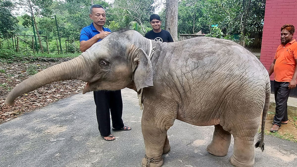 ছবি: প্রথম আলো