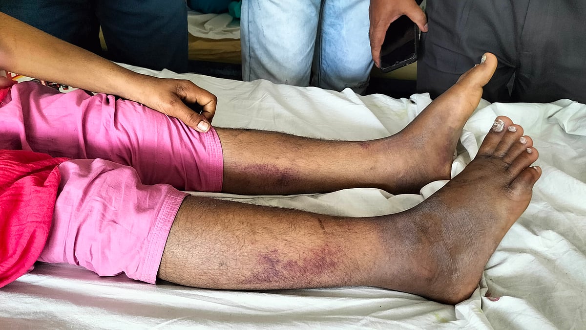 ছবি: প্রথম আলো