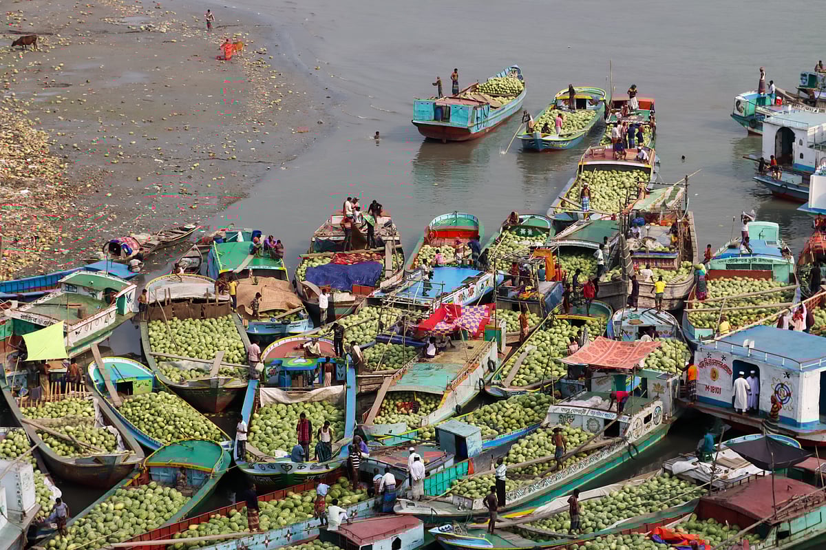 নদীপথে ট্রলারে করে আসছে তরমুজ।