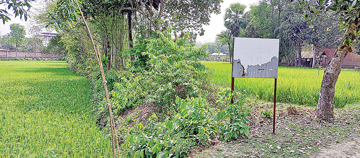 প্রথম আলো