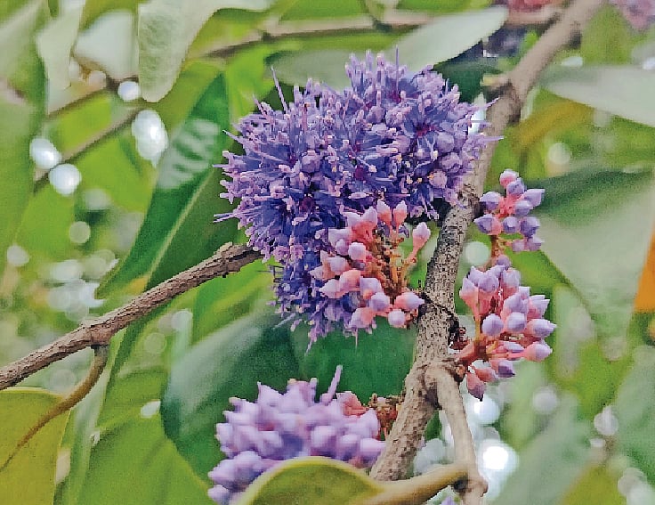 ছবি: লেখক