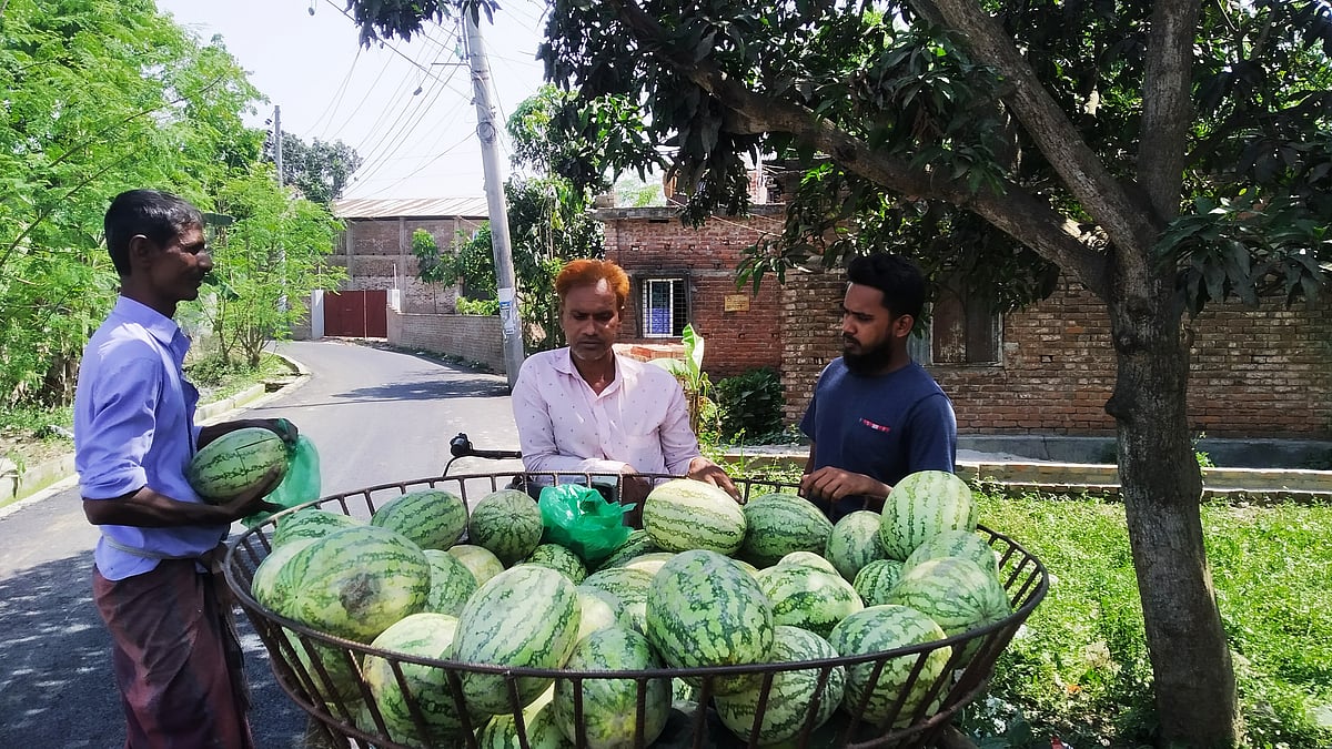 ছবি: প্রথম আলো