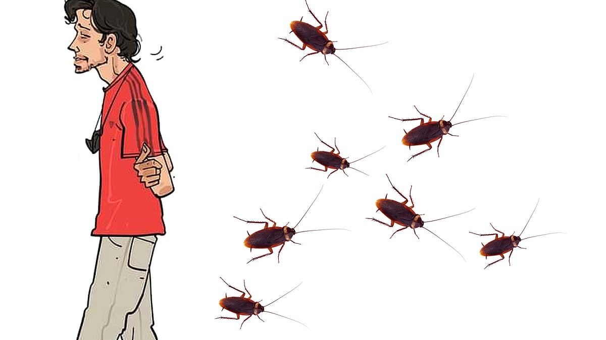 অলংকরণ আরাফাত করিম