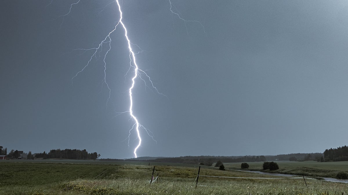 ছবি: পেক্সেলস ডটকম