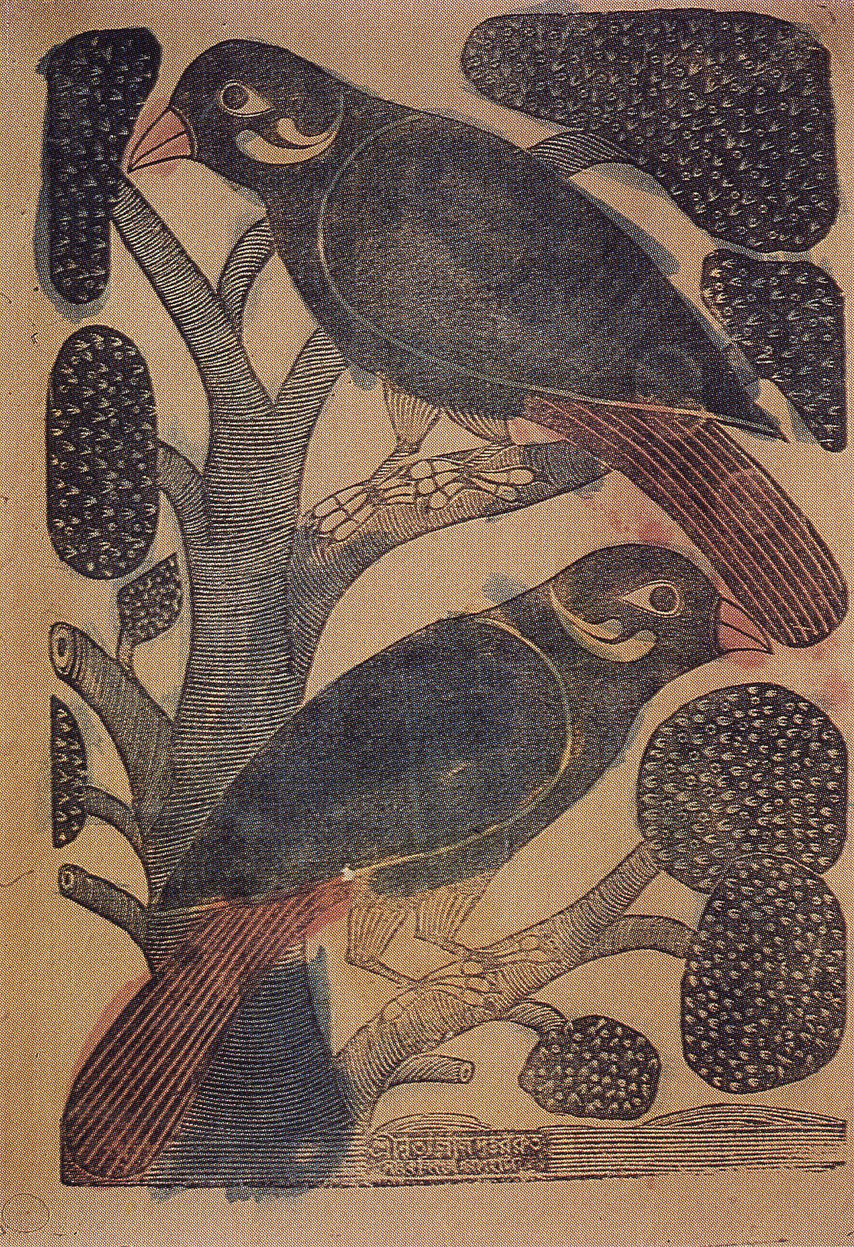 ছবিটি শ্রীপান্থর লেখা বই বটতলার সৌজন্যে