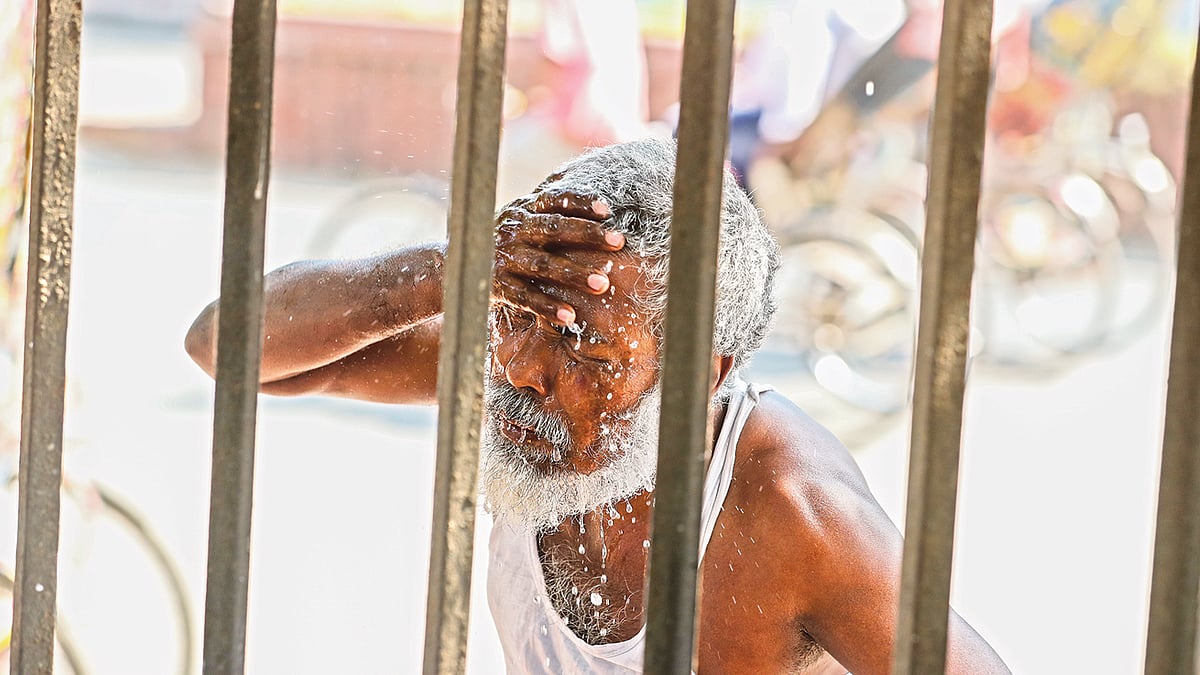 ছবি: প্রথম আলো