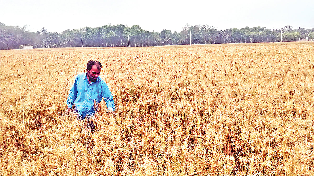 ছবি: প্রথম আলো