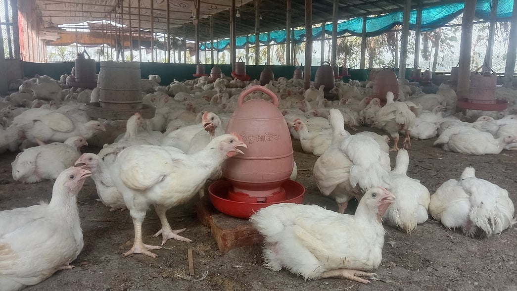 ছবি: প্রথম আলো 