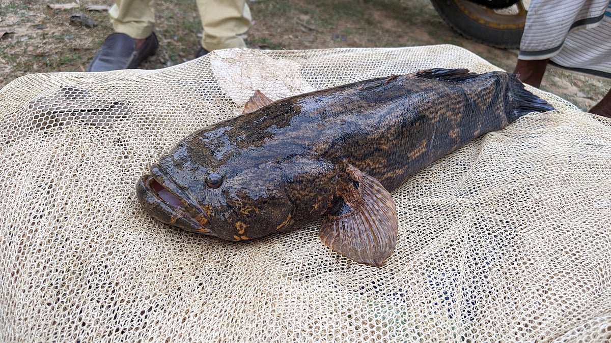 ছবি: সাদিক মৃধা