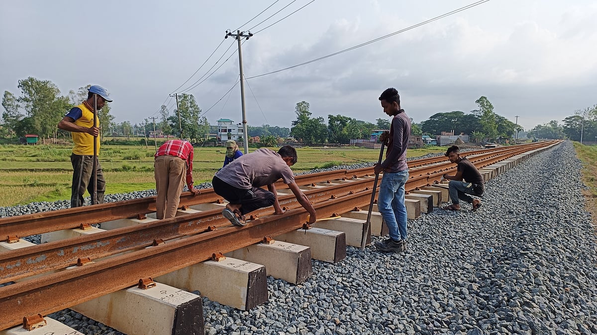  ছবি: মামুন মুহাম্মদ