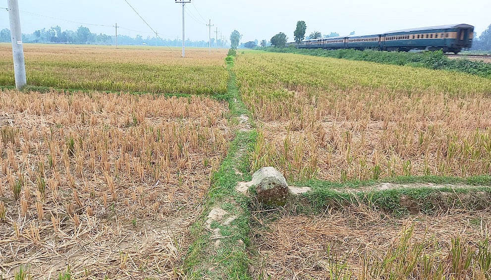 ছবি: প্রথম আলো