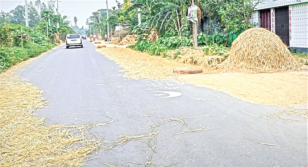 ছবি: প্রথম আলো