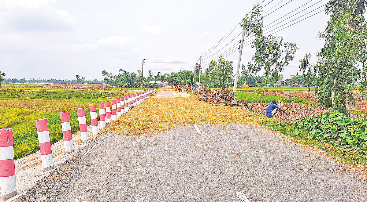 ছবি: প্রথম আলো 