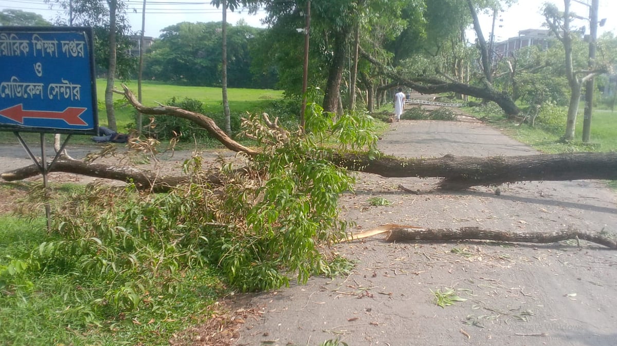 ছবি: প্রথম আলো