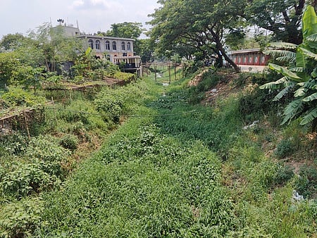 ছবি: মোহাম্মদ মোস্তফা